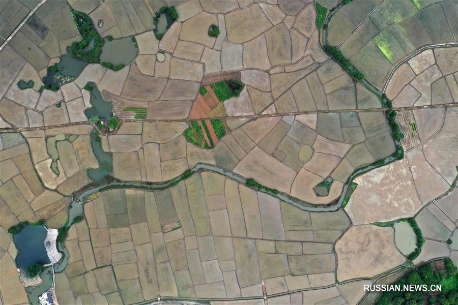 138950514_15861361834861n.jpg