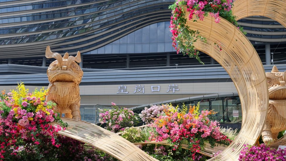 噢噢噢噢.png